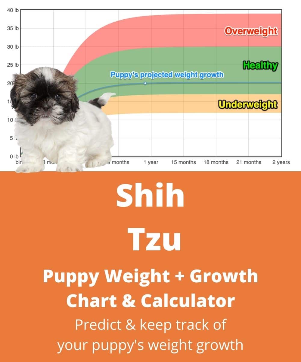 Shih Tzu Weight+Growth Chart 2023 How Heavy Will My Shih Tzu Weigh
